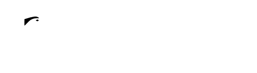 Vigiles GmbH